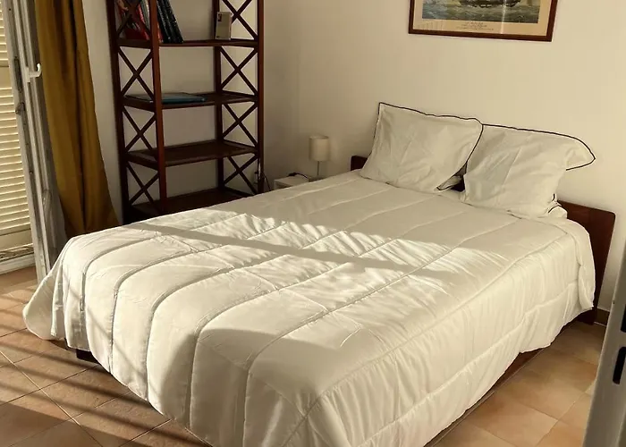 Le Face A La * Ajaccio (Corsica)